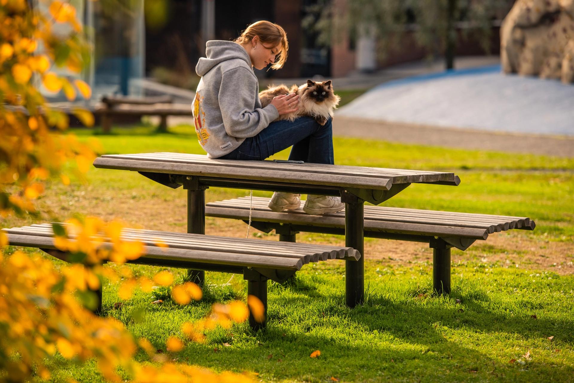 URBAN table