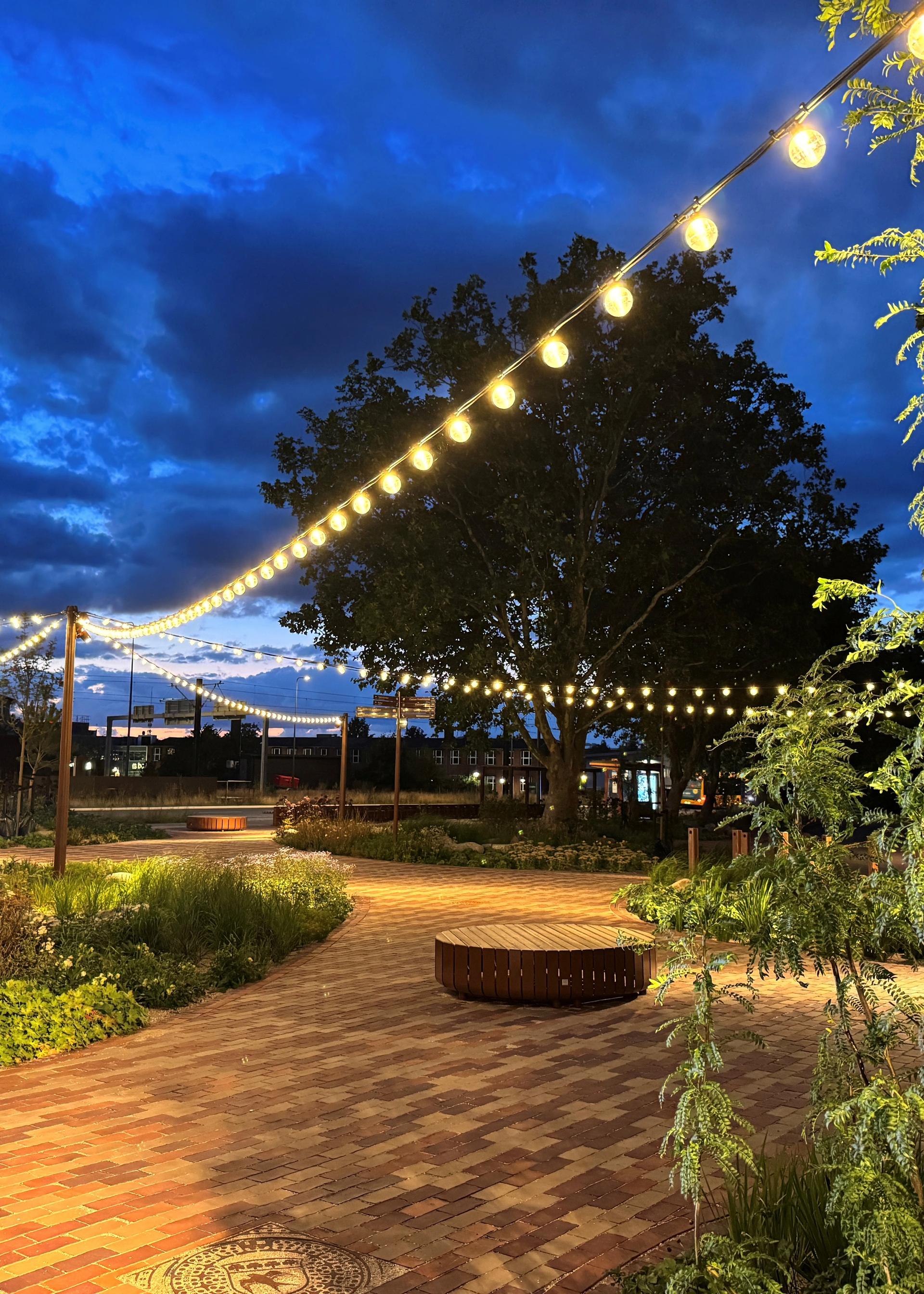 Urban forest transforms asphalt and concrete into a green light rail plaza and a new gateway to Gladsaxe City Hall