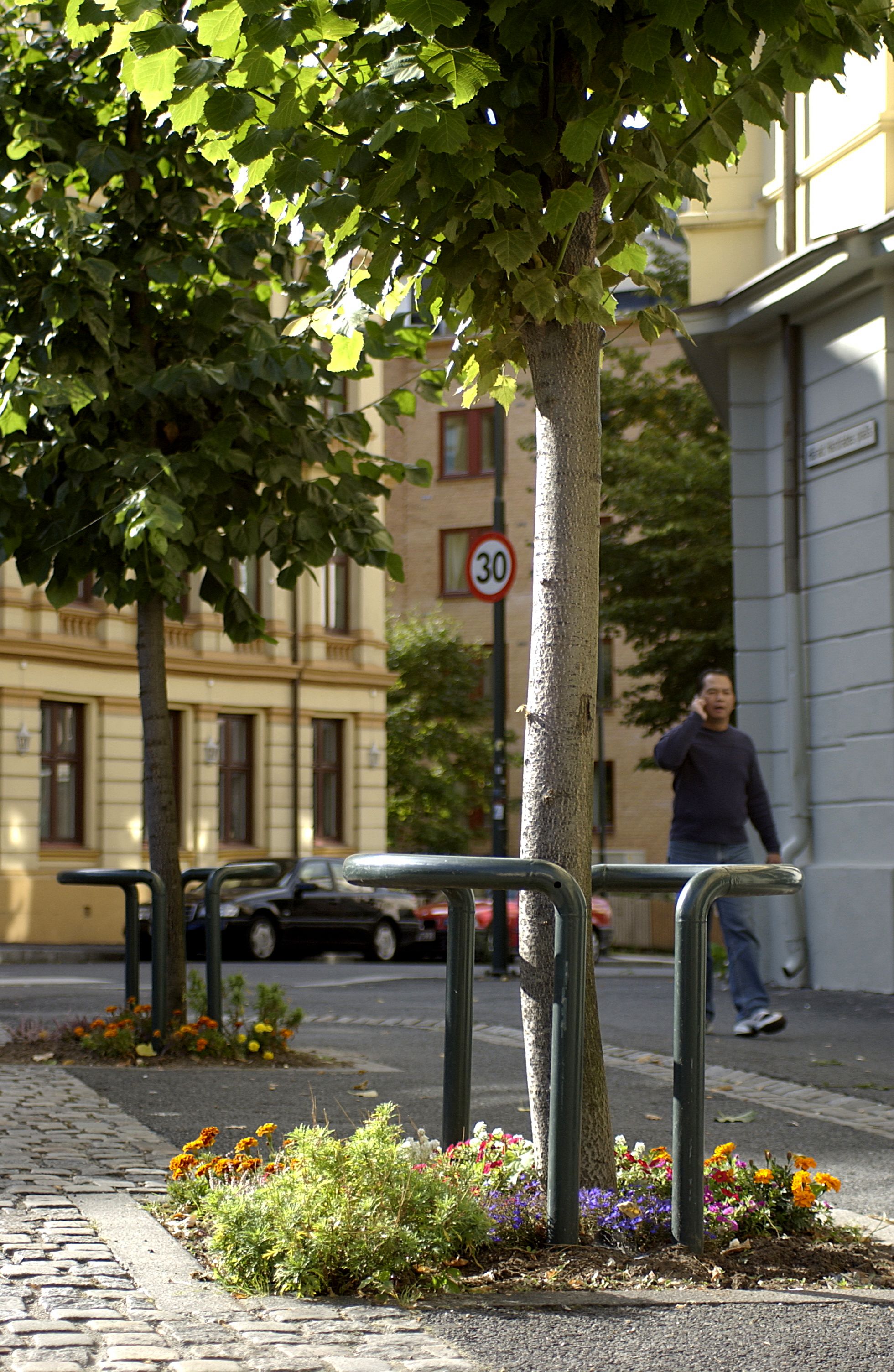 HVILAN tree guard