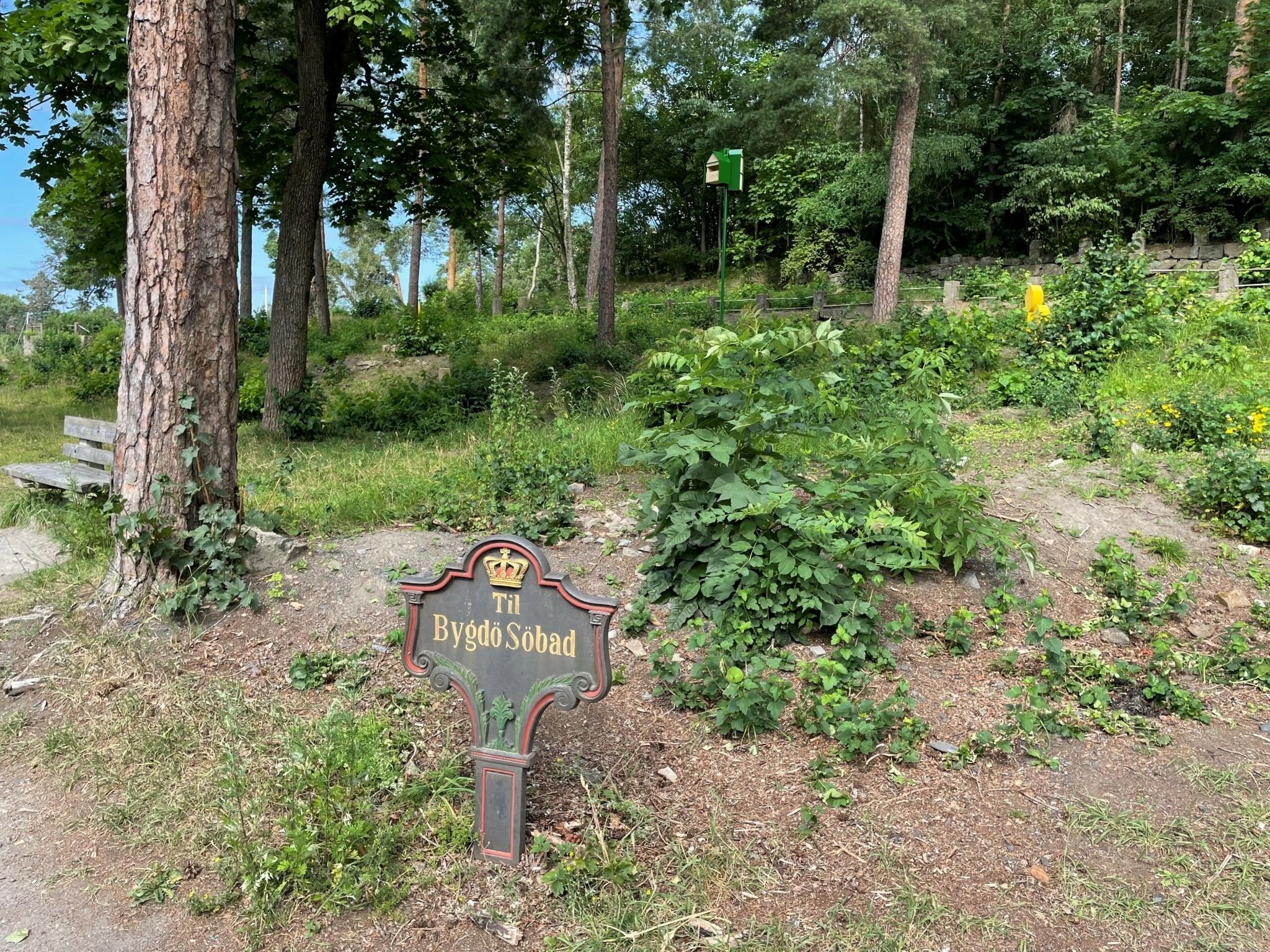 Nature reclaims the site of Bygdø Sjøbad in Paradisbukta