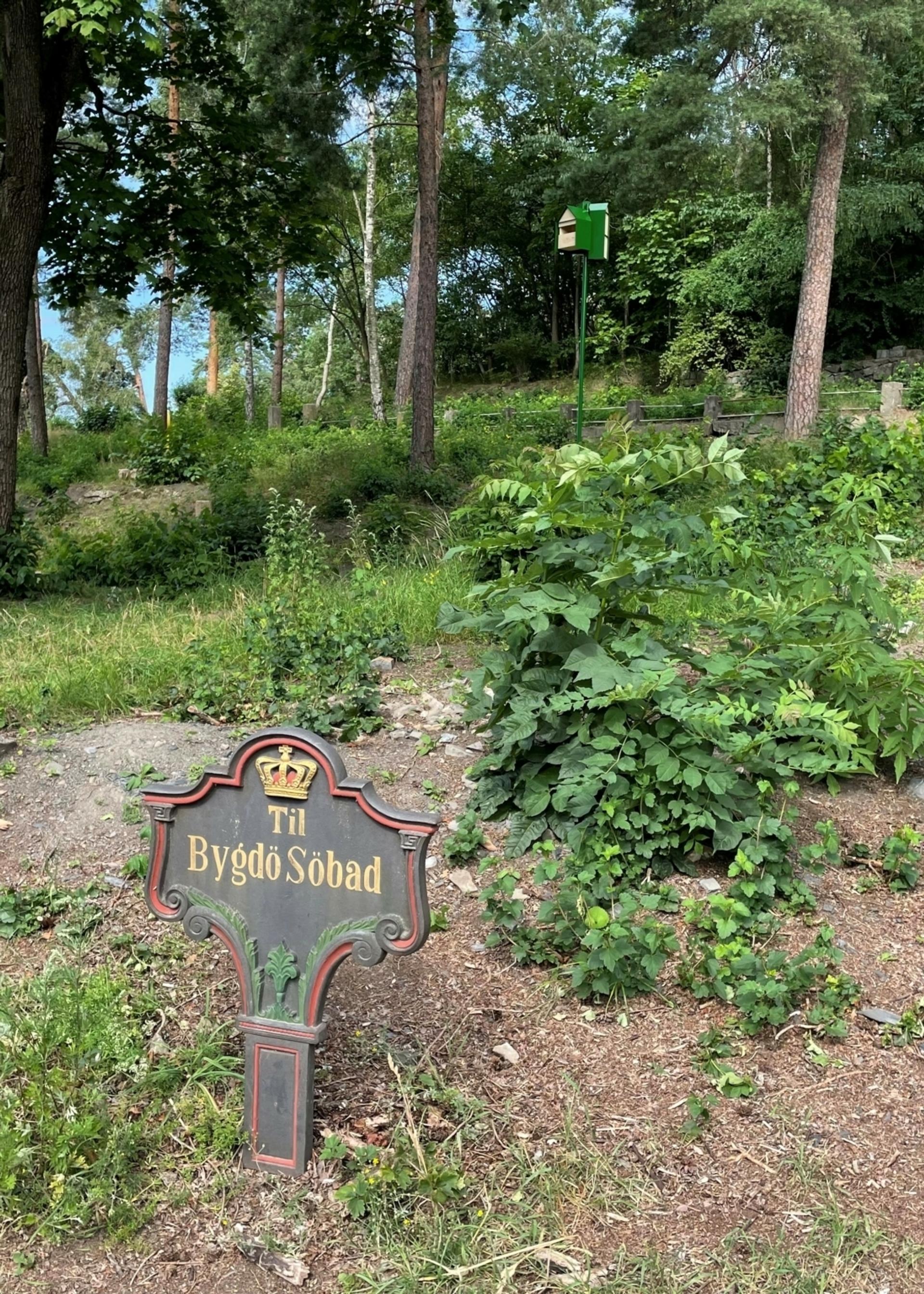 Nature reclaims the site of Bygdø Sjøbad in Paradisbukta