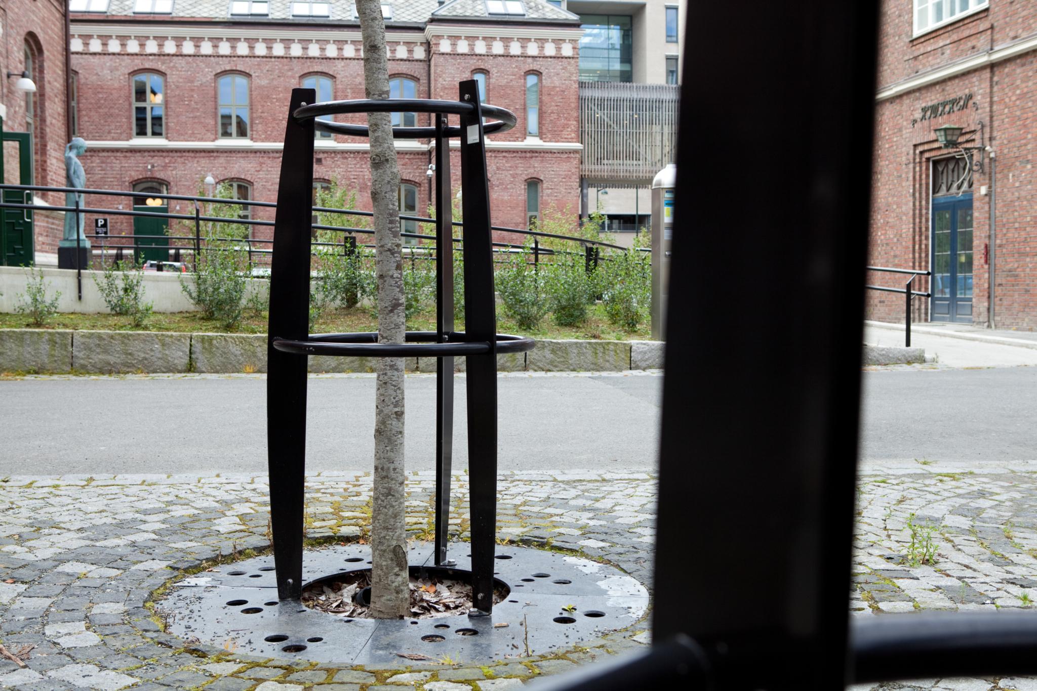 URBAN tree guard