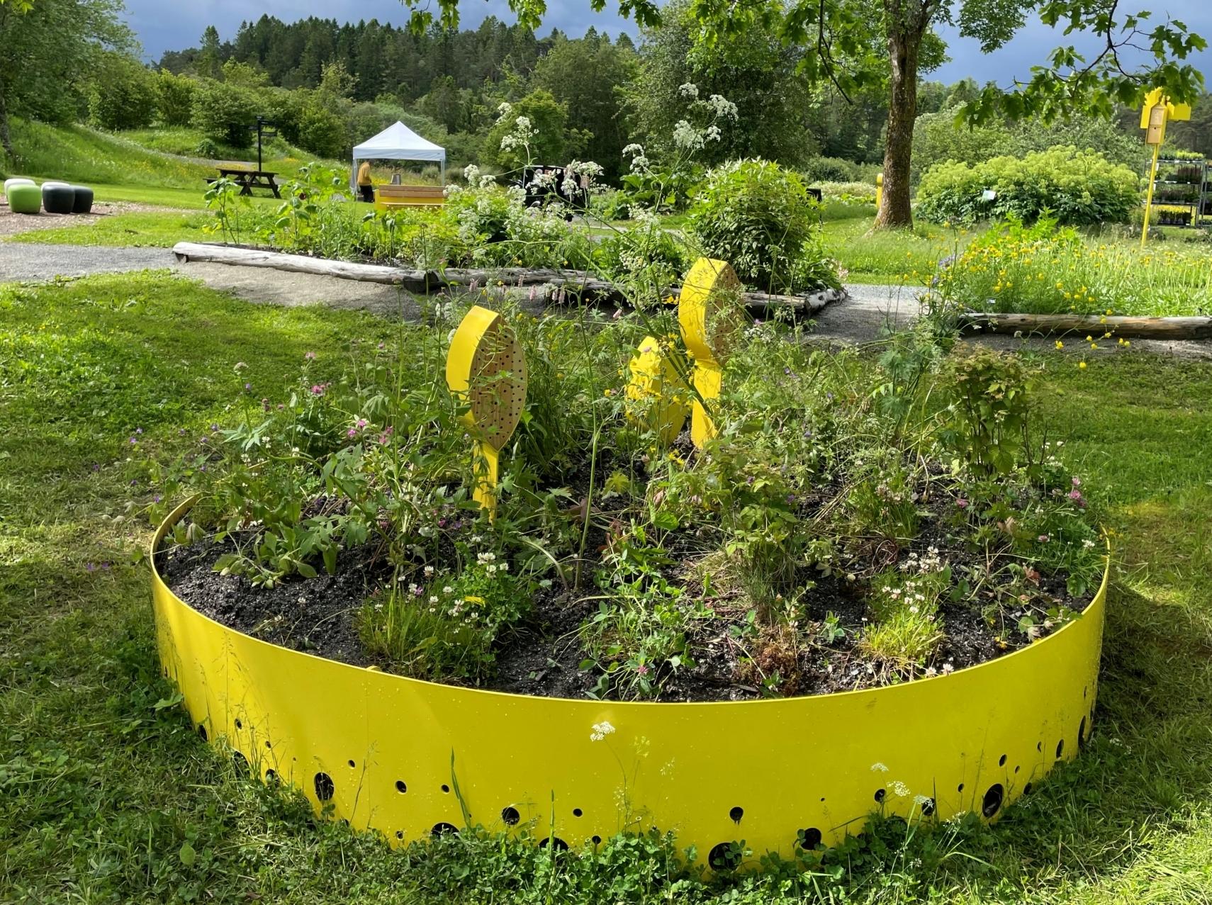 Vestre Habitats skaper nye leveområder for insekter i Bergen botaniske hage