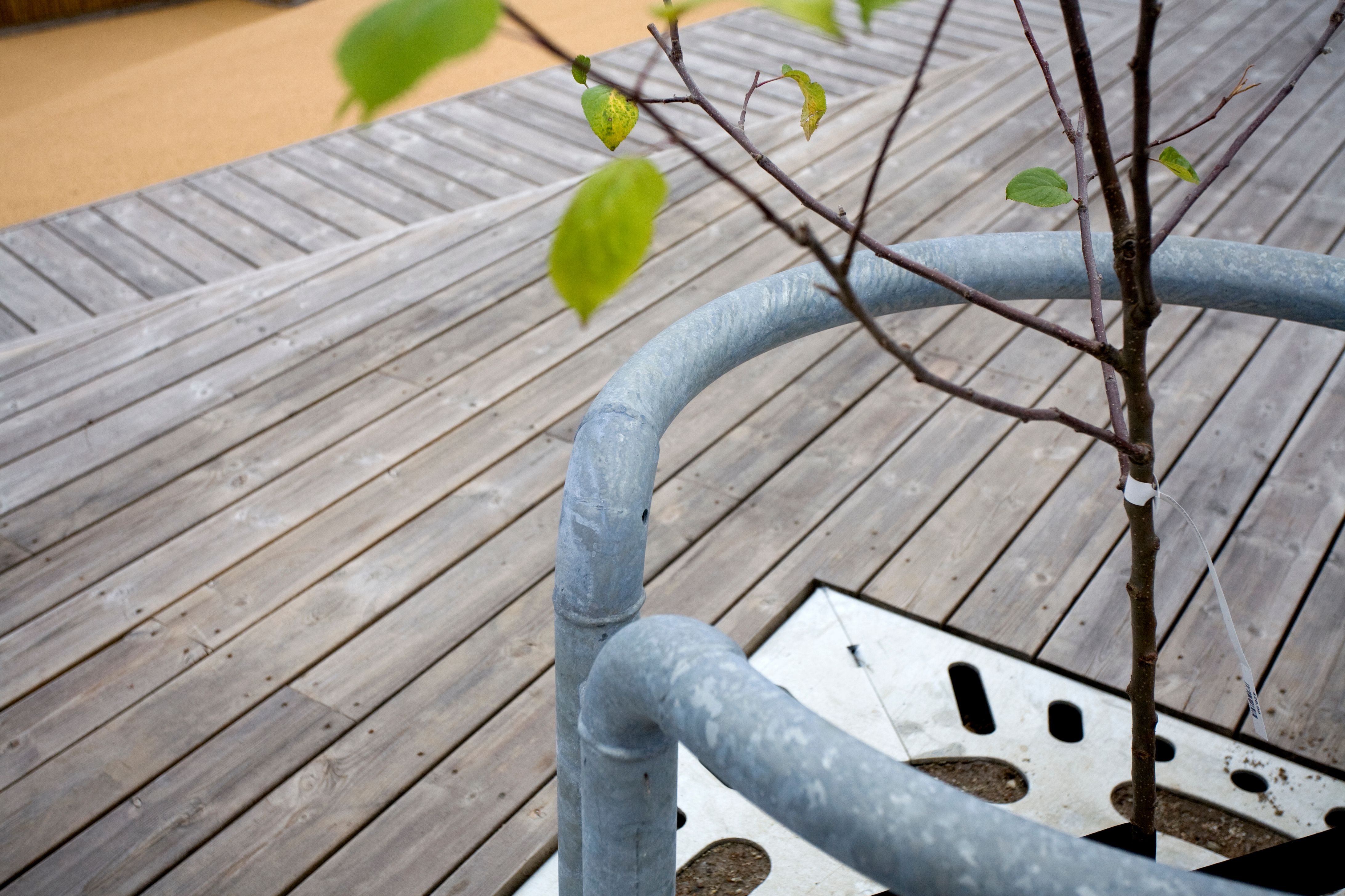 HVILAN tree guard