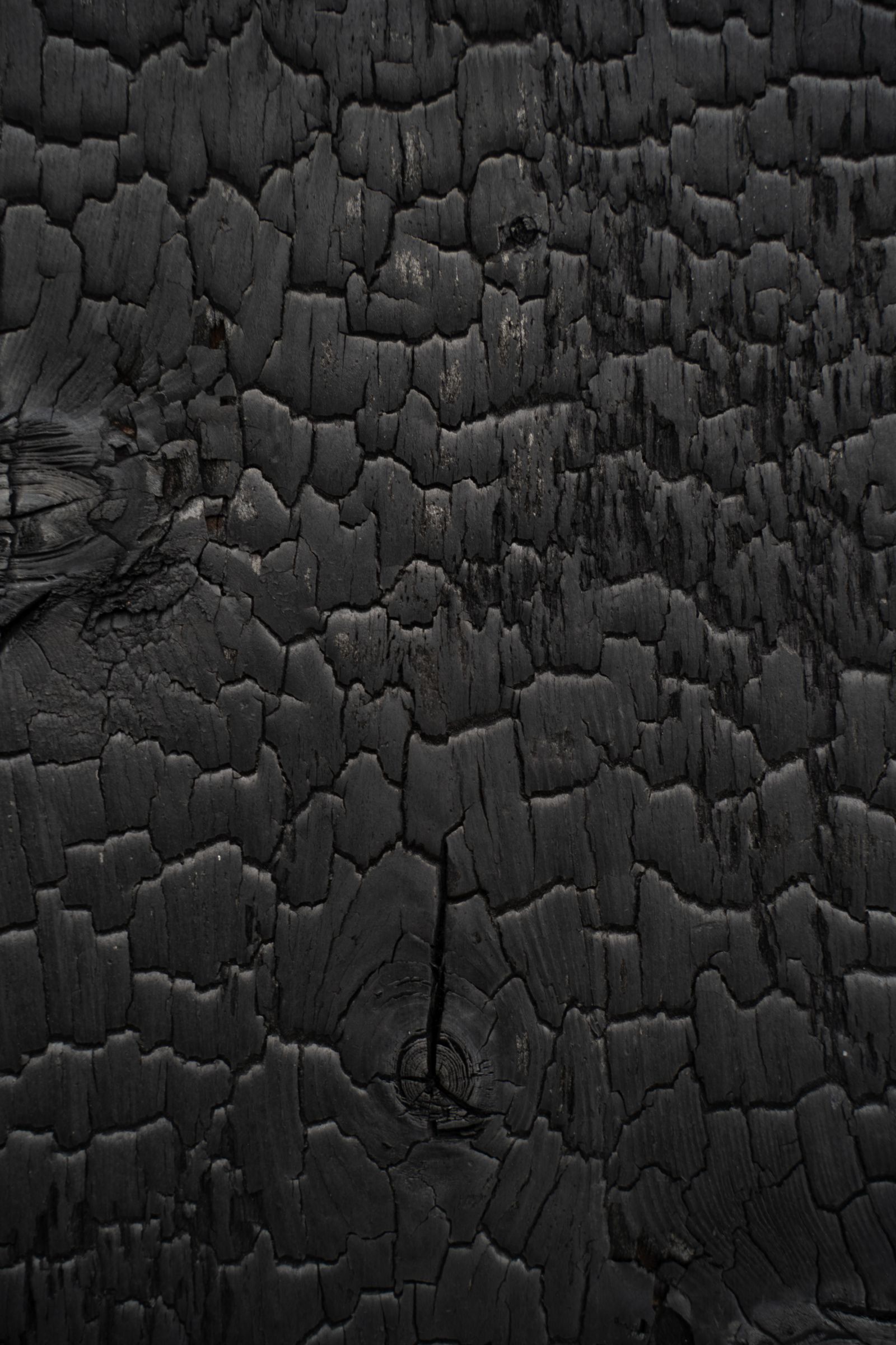 Materials Matter: Designing for a Sustainable Future