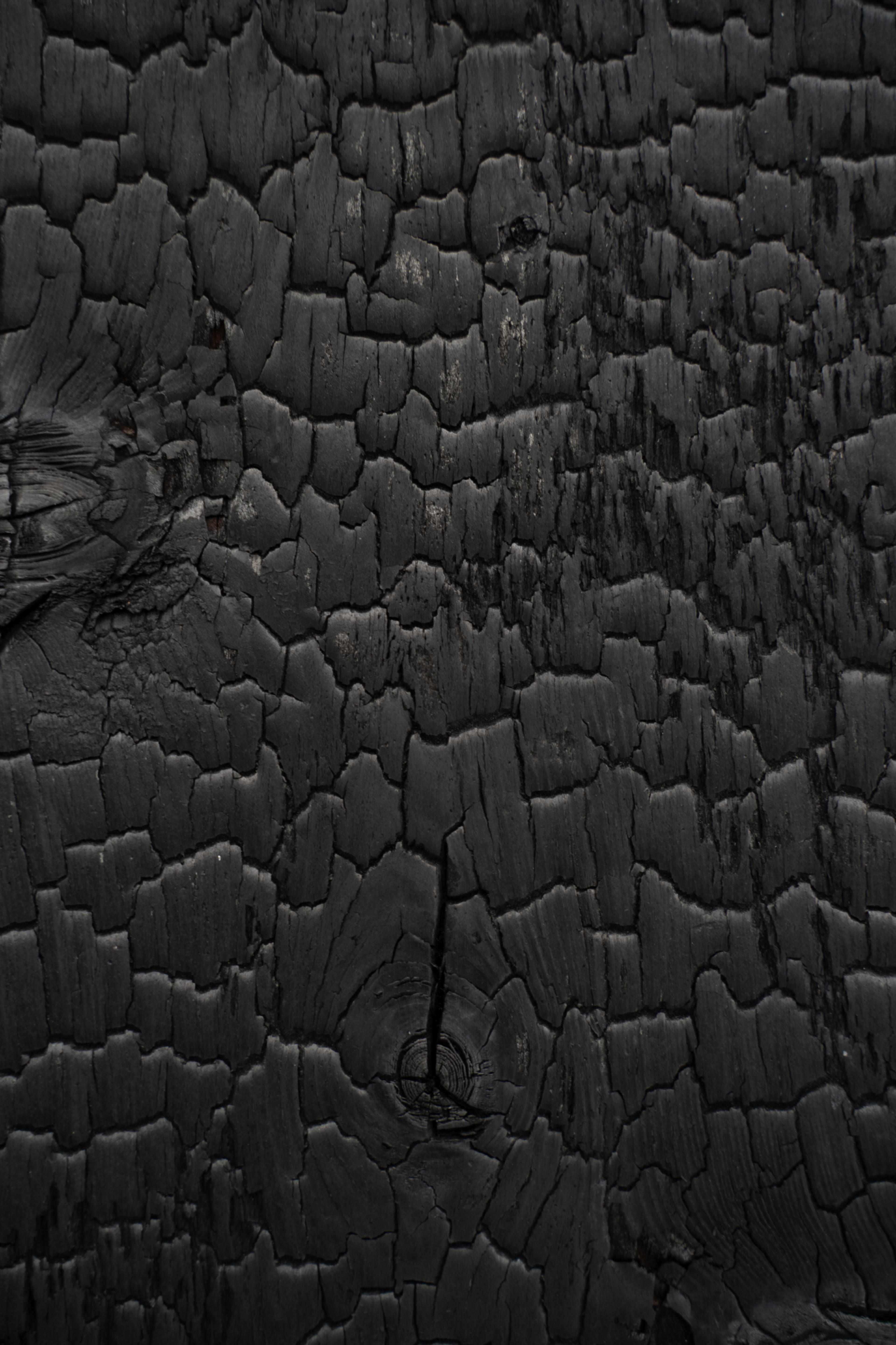Materials Matter: Designing for a Sustainable Future