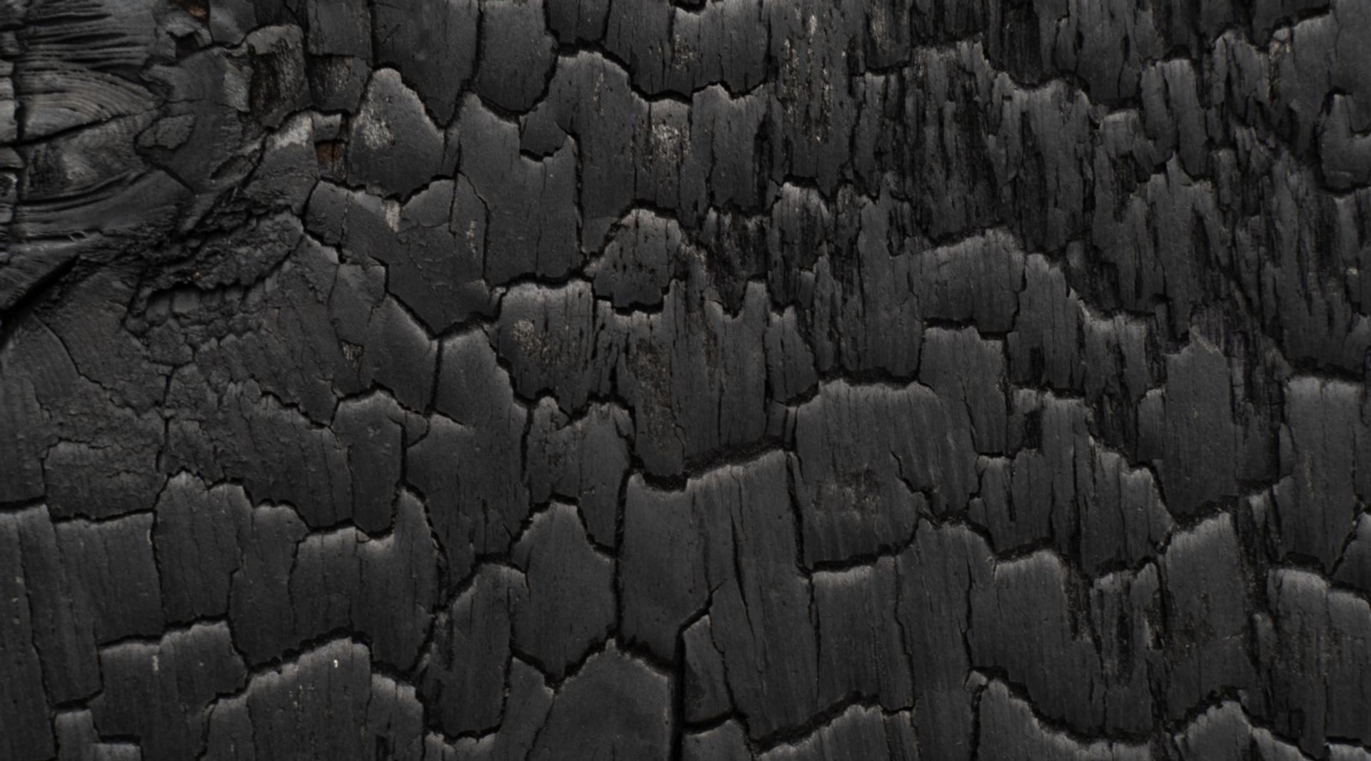 Materials Matter: Designing for a Sustainable Future