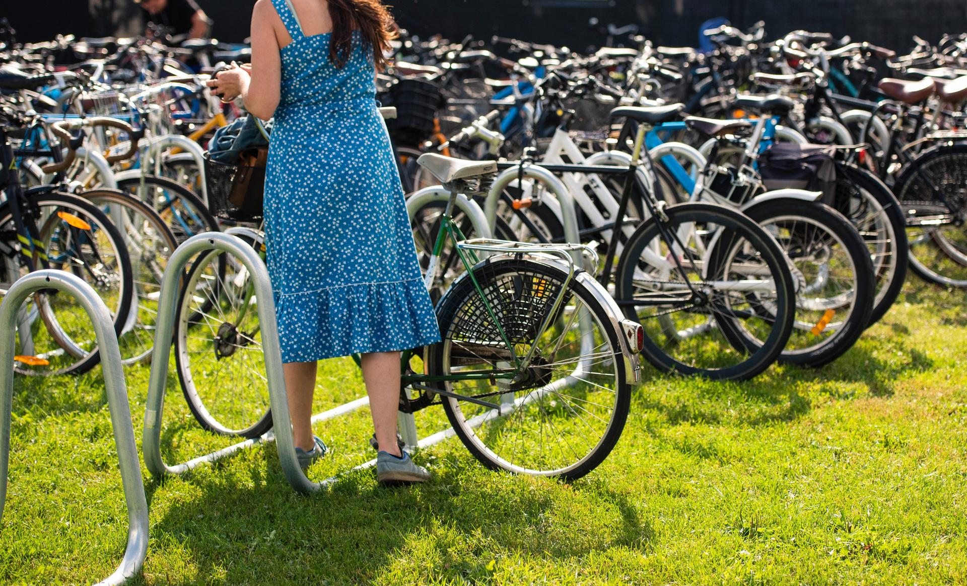 BERG cykelställ