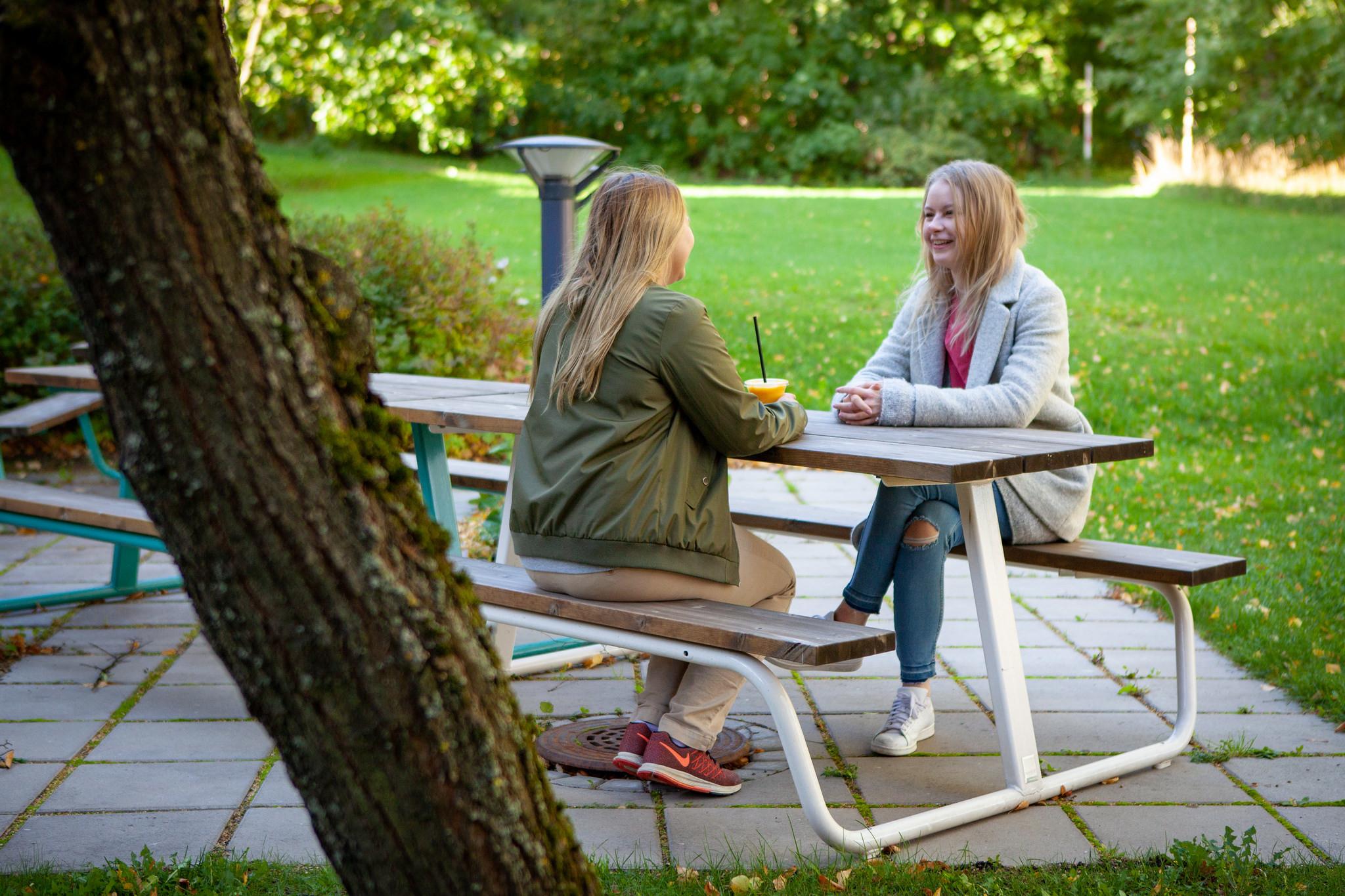 BERG Picknick Tischbank