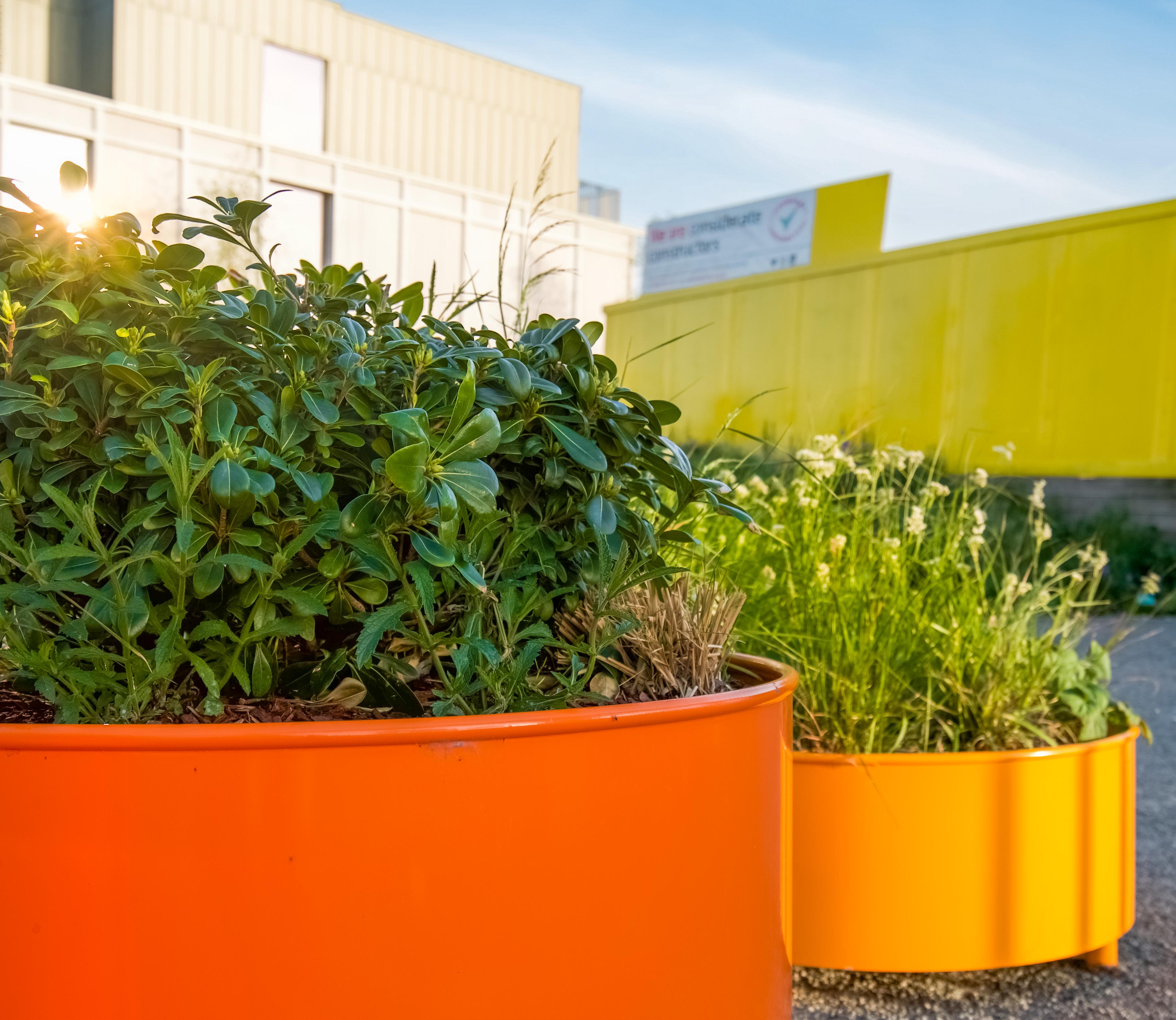 APRIL GO planter