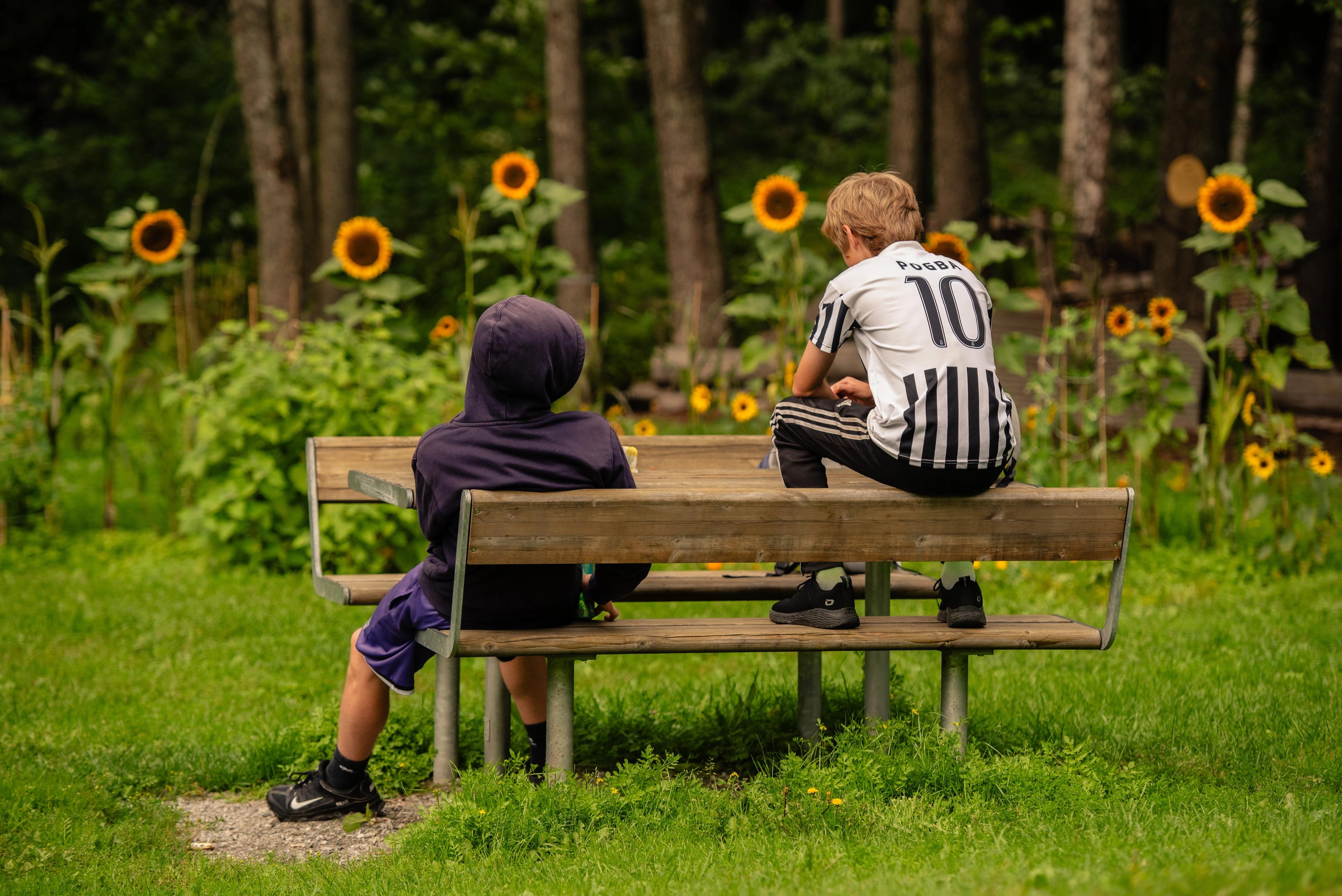 APRIL bench