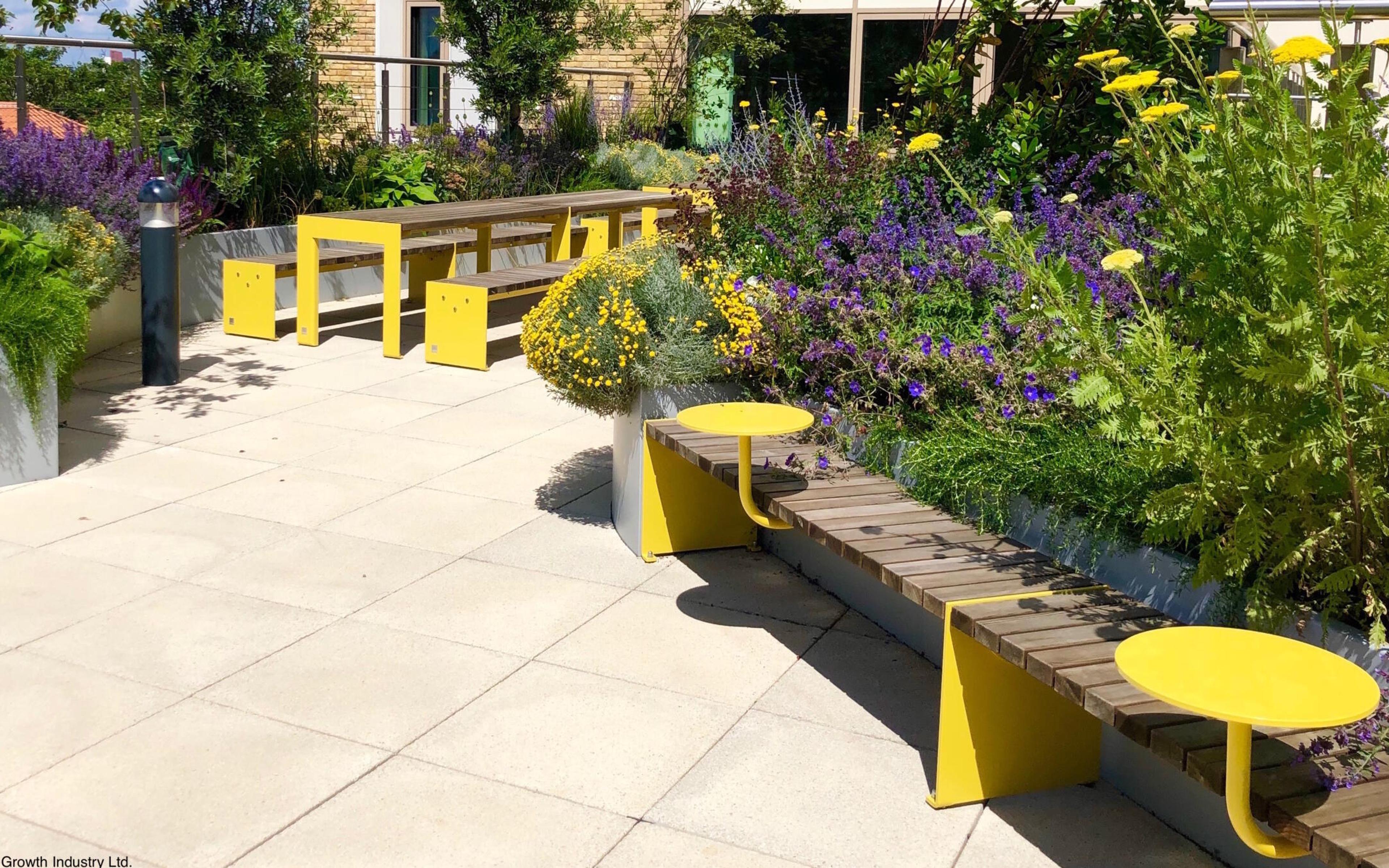 Pears Maudsley Centre: Designing for Young Minds