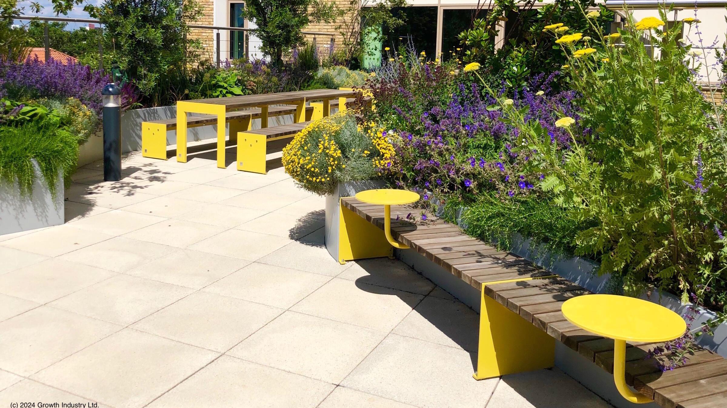 Pears Maudsley Centre: Designing for Young Minds