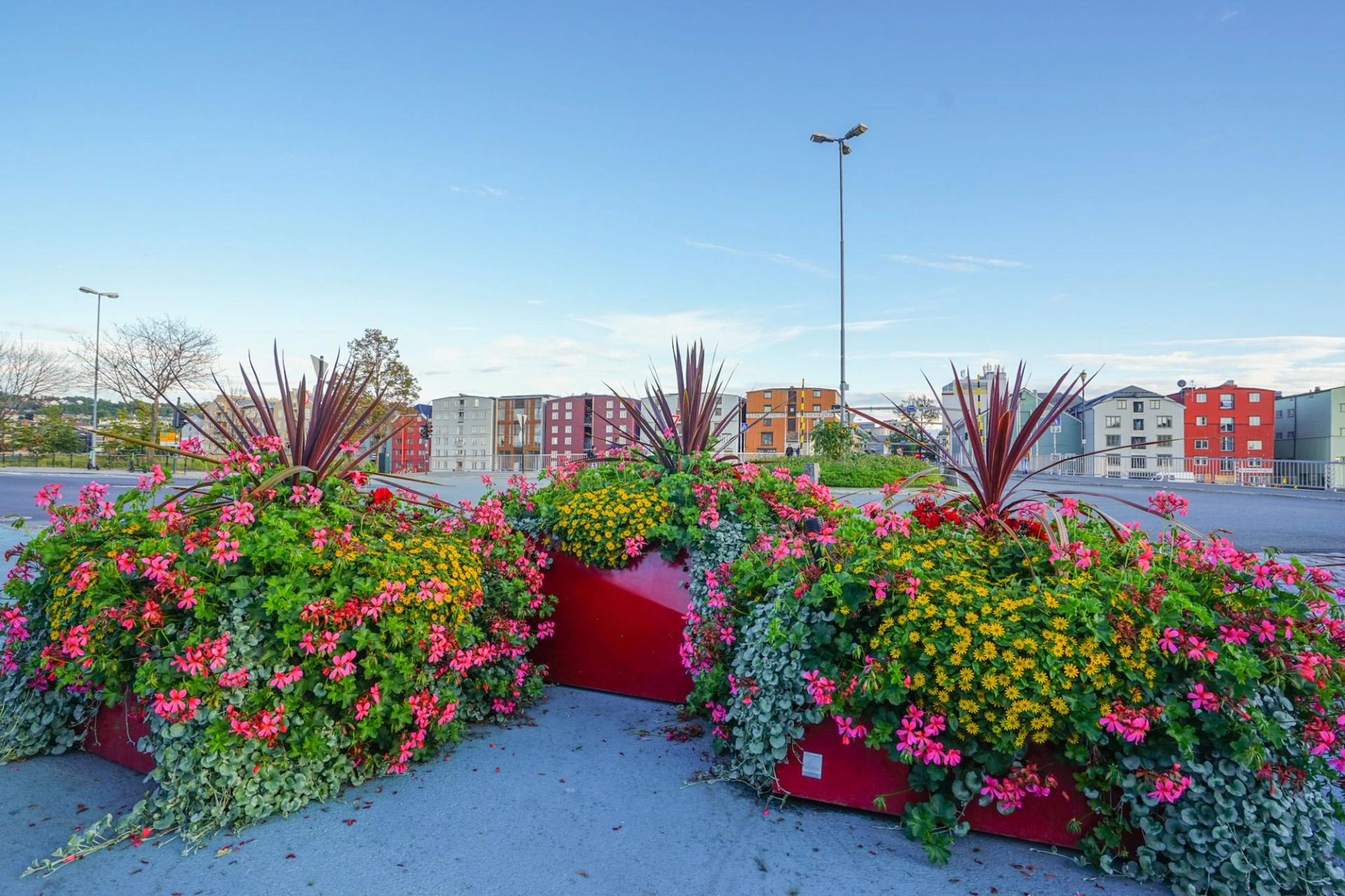 BLOC planter
