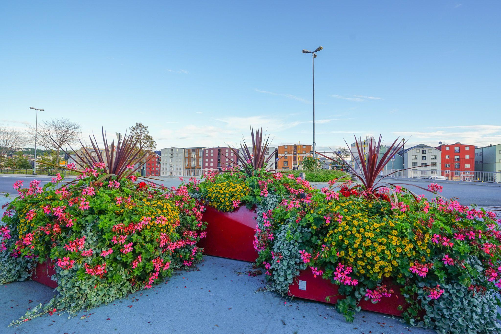 BLOC planter
