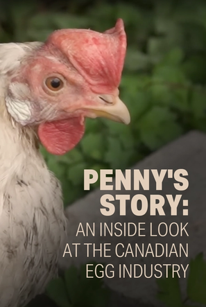 Penny's Story: An Inside Look At The Canadian Egg Industry
