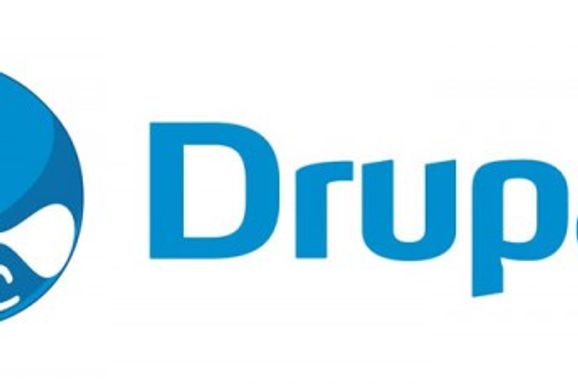 Since its introduction to the world of web, Drupal has become one of the most popular publishing platforms.