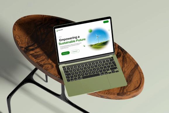 As a matter of fact if you are on the internet for pure business purpose than Website Template are bad source for creating a website.