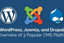 While there are a number of CMS platforms available in today’s market, three of the most popular CMS solutions being used by businesses these days include WordPress, Joomla and Drupal.