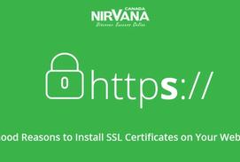 In an era where online security is under constant threat for everyone using the World Wide Web, it’s critical for business owners to secure their websites from potential harm by cyber criminals from around the world.