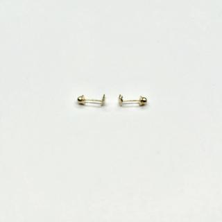 14K Yellow Gold Dolphin Stud Earrings with Screw Back