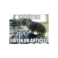 Lolcat / I Can Has Cheezburger