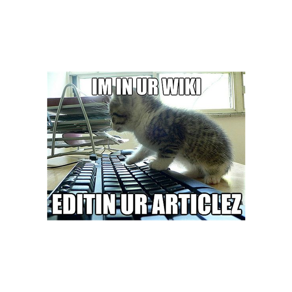 Lolcat / I Can Has Cheezburger
