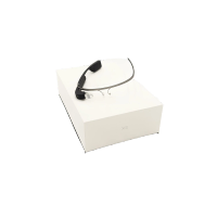 Google Glass