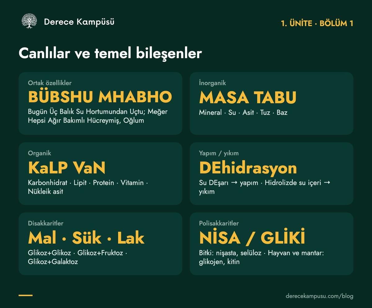 1. ünite kod kartı: ortak özellikler, inorganik ve organik bileşikler, karbonhidratlar