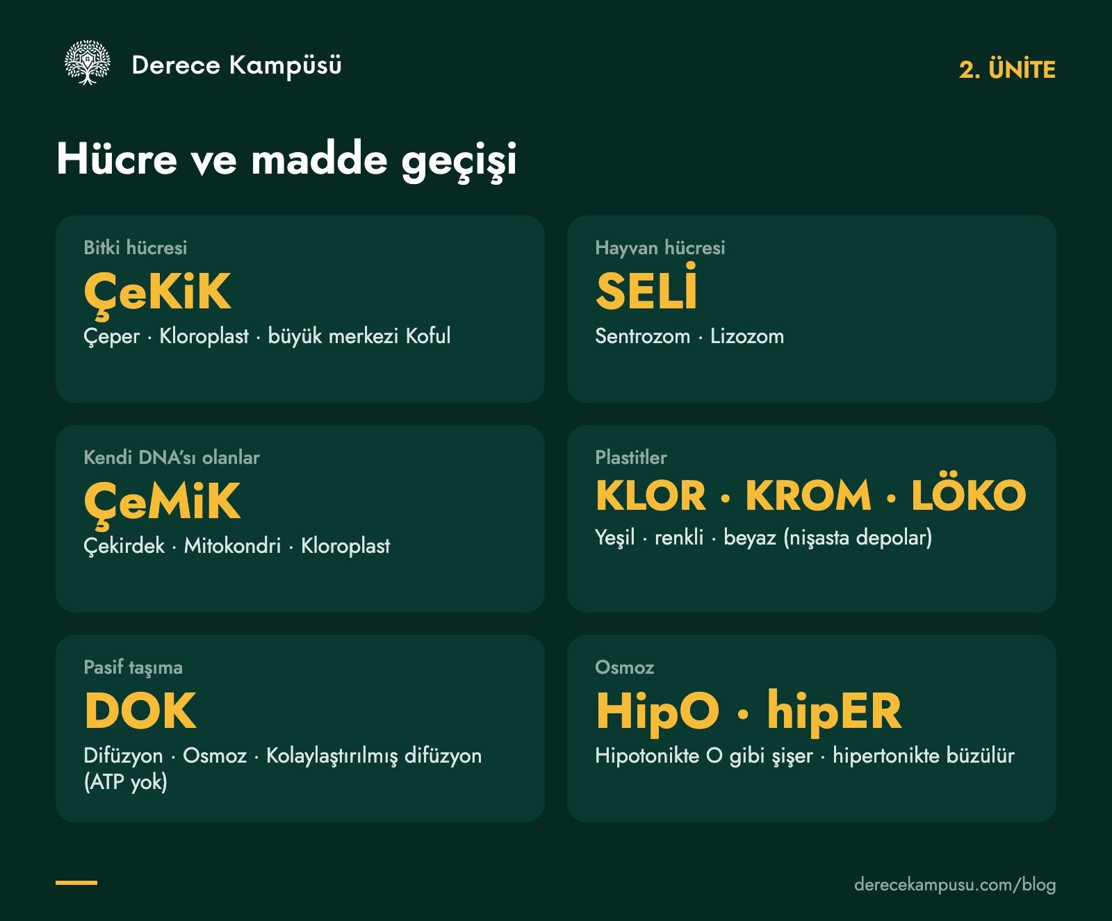 2. ünite kod kartı: bitki ve hayvan hücresi, organeller, plastitler, madde geçişi