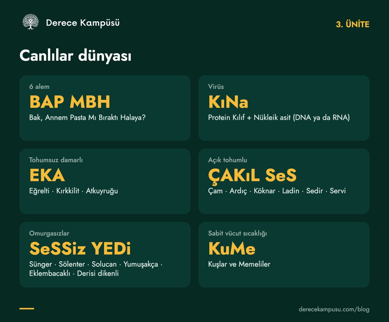 3. ünite kod kartı: alemler, virüsler, bitki ve hayvan sınıflandırması