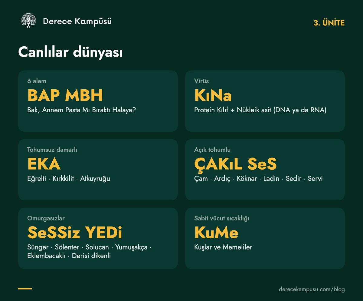 3. ünite kod kartı: alemler, virüsler, bitki ve hayvan sınıflandırması
