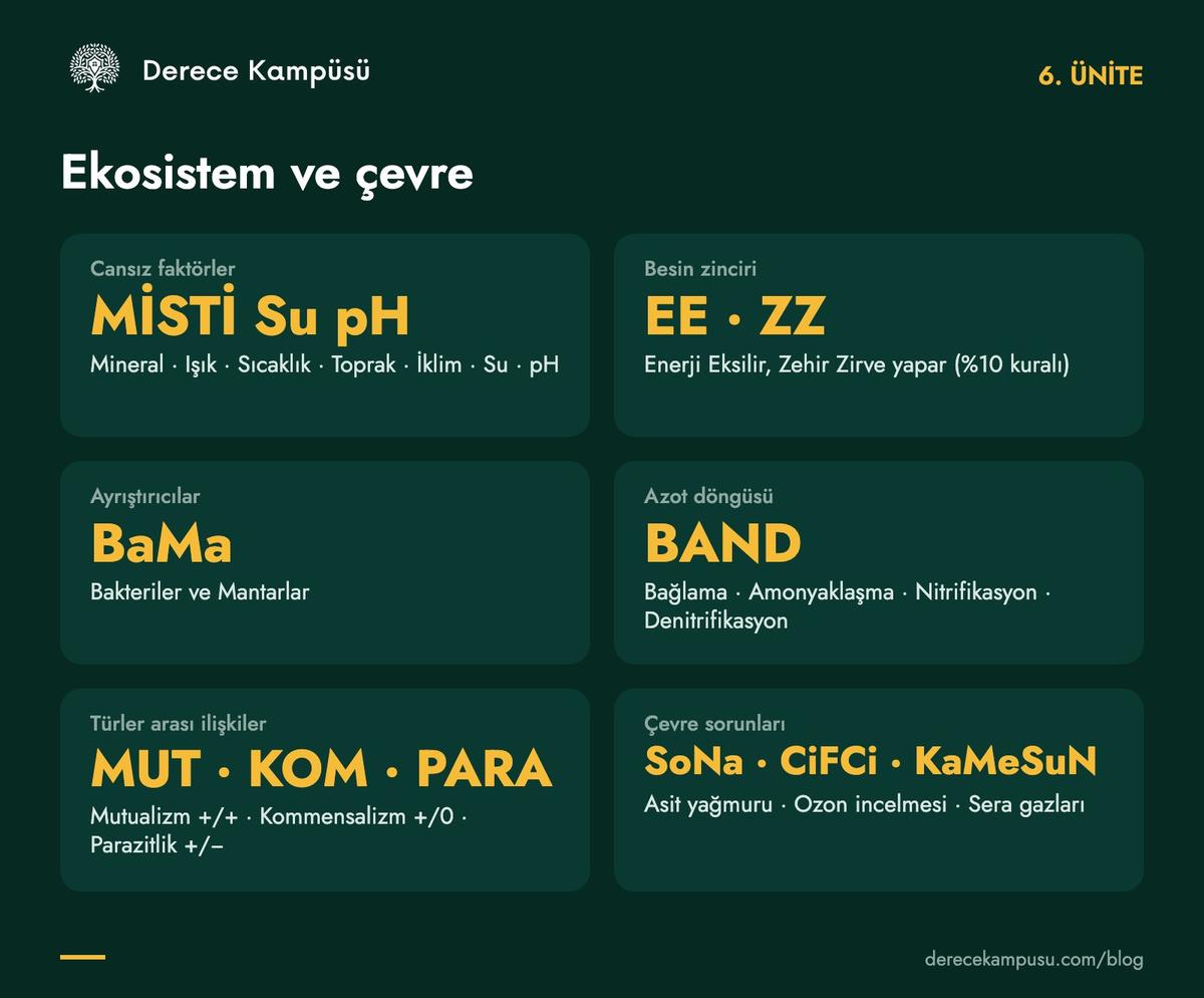 6. ünite kod kartı: cansız faktörler, besin zinciri, azot döngüsü, çevre sorunları