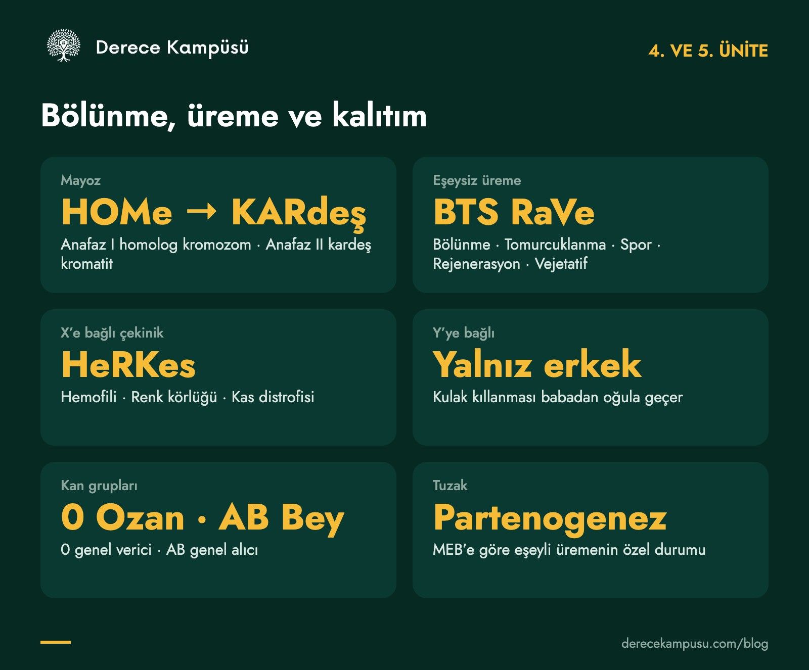 4. ve 5. ünite kod kartı: mayoz, eşeysiz üreme, eşeye bağlı kalıtım, kan grupları