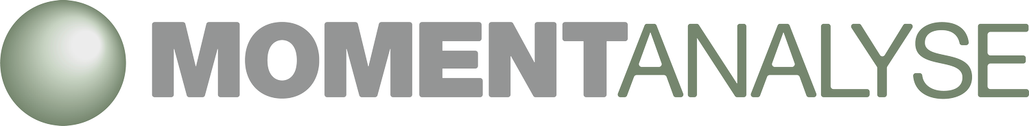 Moment Analyse logo