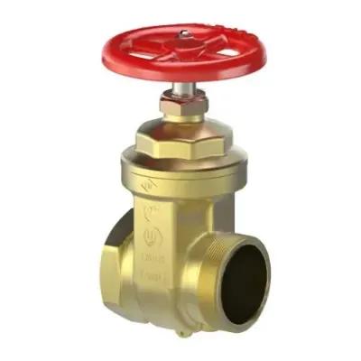 VÁLVULA COMPUERTA FM (HEMBRA/MACHO) MOD. A53