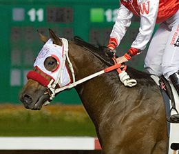 Unrelentless is amongst a strong group of sophomores in the $30,000 Town Policy Stakes at Los Alamitos on Saturday.