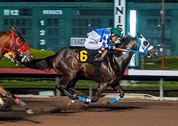 Brother Ray, under jockey Cruz Mendez, qualifies in the fifth trial on Sunady.