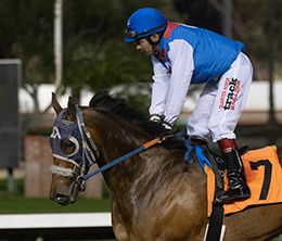 Los Alamitos