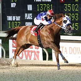 Zupers Quick Dash, under jockey David Alvarez, won the Louisiana Classic in his final career start at Delta Downs.