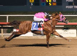 Tempting Dash shown winning the Texas Classic Futurity and setting a New Track Record with a 112 speed index.