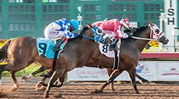 Jess Paint Me, under jockey Eduardo Nicasio, qualified for the $1,115,000 Ed Burke Million Futurity on June 7, 2020, at Los Alamitos Race Course.