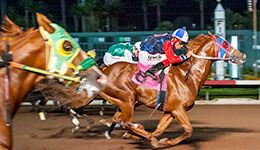 Hi High Hopes, under jockey Guillermo Suarez, winning a $14,200 allowance at Los Alamitos Race Course.