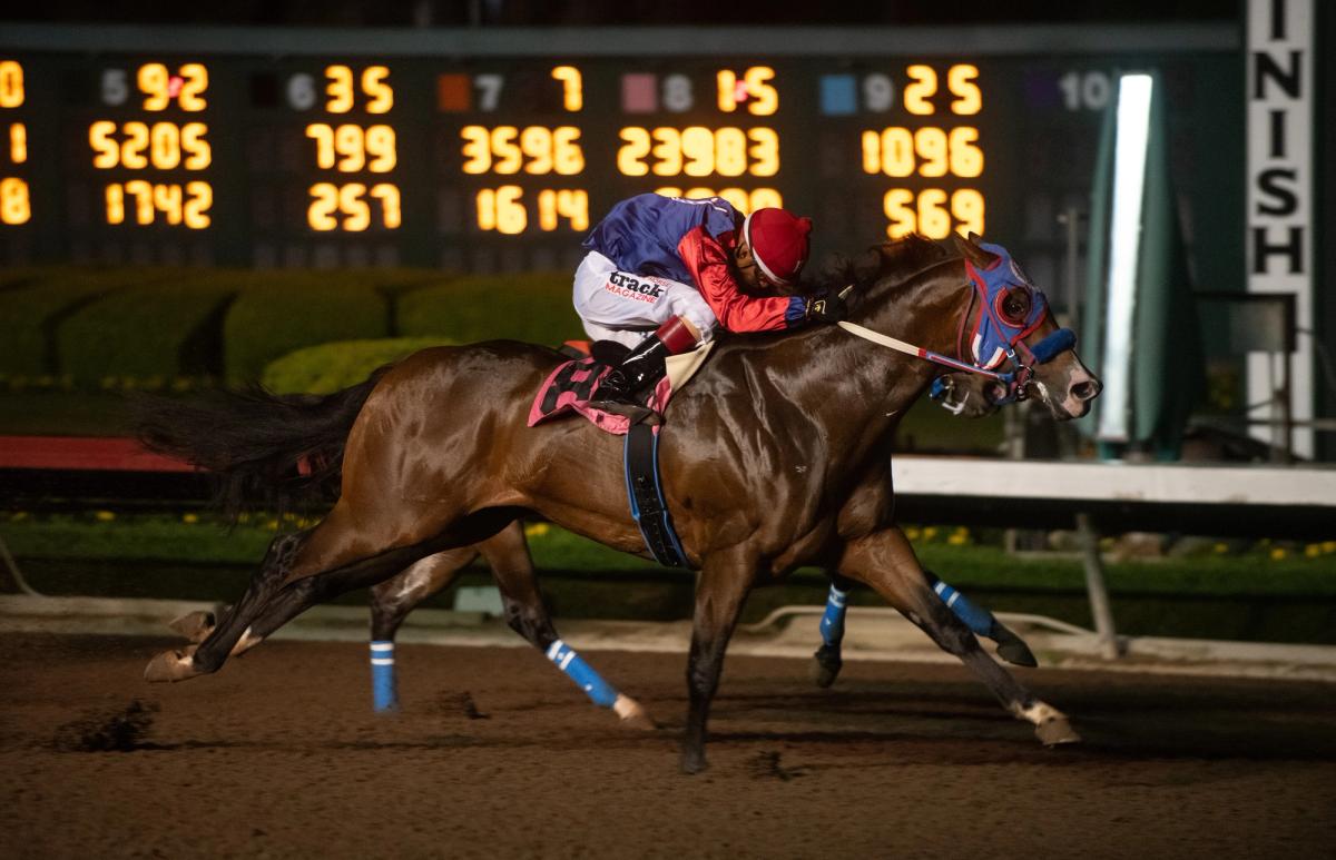 Doodah Cartel, Hi Octane Among 21 In Golden State Derby Trials