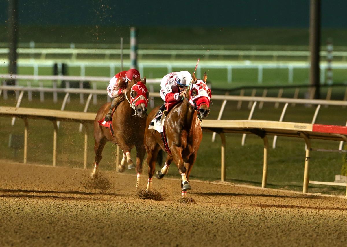 Quarter Horse Racing’s Finest Take Center Stage In $888,000 AQHA Racing Challenge Championship Night At Albuquerque