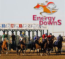 36 three, four, and five-year-old maidens will compete in the $25,000 added Ron Cook Memorial trials on Energy Downs on Sunday.