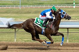 O La Dee Da, under jockey Martin Ortiz, easily won the second trial for the Alberta Stallion Stakes Futurity.