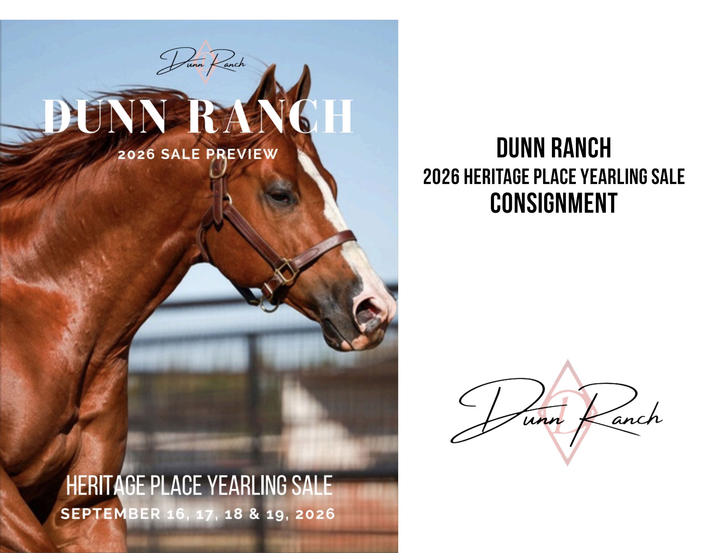 Dunn Ranch showcases a deep group of yearlings in a new interactive flipbook ahead of the September 16-19 sale in Oklahoma City.