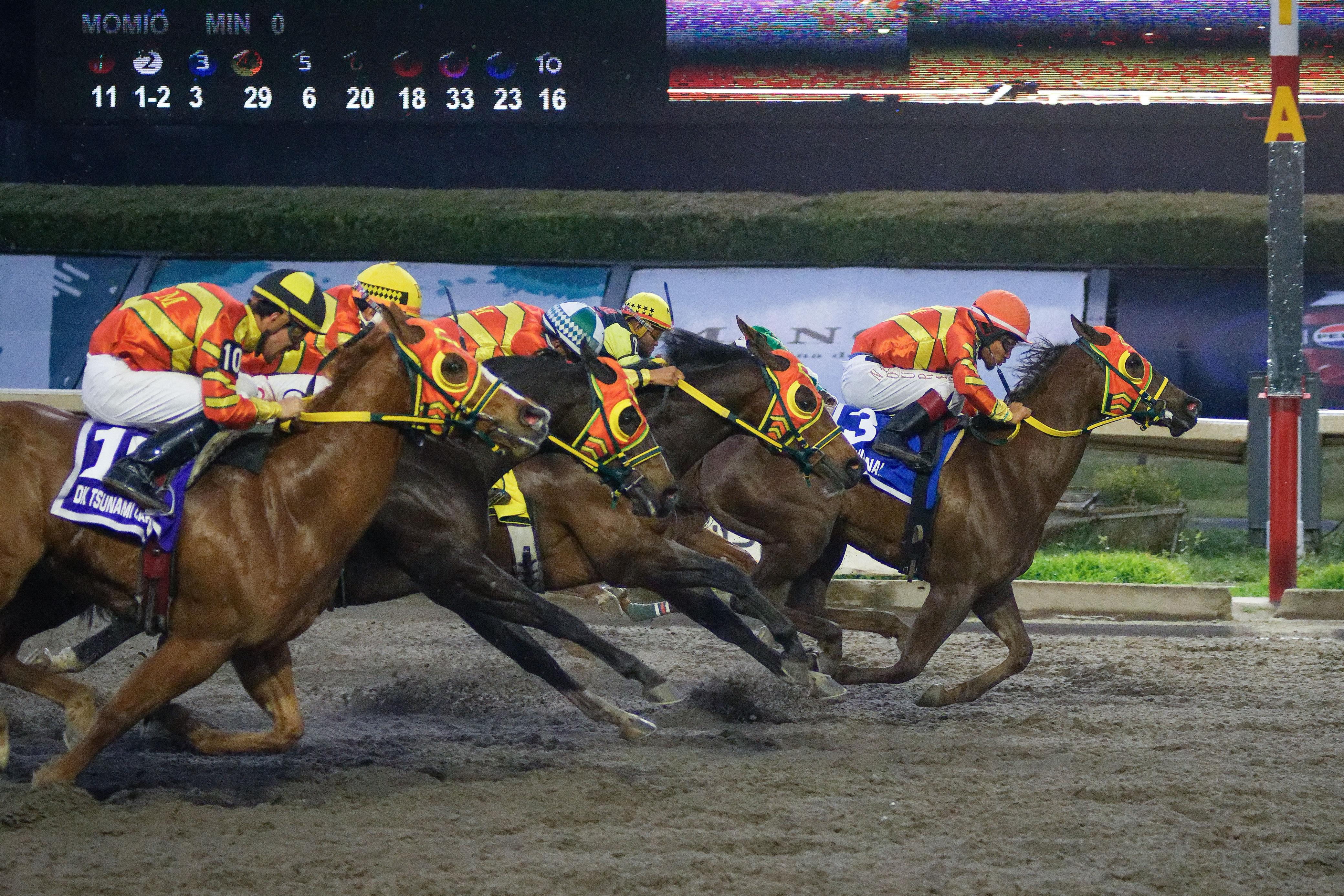 Miguel Angel Espinoza / Hipodromo de Las Américas