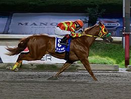 Miguel Angel Espinoza / Hipodromo de Las Américas